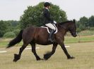 Image 148 in ADVENTURE RC. DRESSAGE AND GYMKHANA. 9 JULY 2017