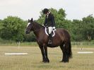 Image 150 in ADVENTURE RC. DRESSAGE AND GYMKHANA. 9 JULY 2017
