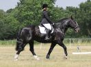 Image 160 in ADVENTURE RC. DRESSAGE AND GYMKHANA. 9 JULY 2017