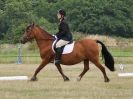 Image 162 in ADVENTURE RC. DRESSAGE AND GYMKHANA. 9 JULY 2017
