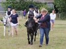 Image 171 in ADVENTURE RC. DRESSAGE AND GYMKHANA. 9 JULY 2017