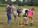 Image 175 in ADVENTURE RC. DRESSAGE AND GYMKHANA. 9 JULY 2017