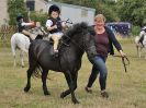 Image 197 in ADVENTURE RC. DRESSAGE AND GYMKHANA. 9 JULY 2017