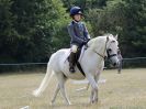 Image 21 in ADVENTURE RC. DRESSAGE AND GYMKHANA. 9 JULY 2017