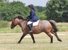 Image 65 in ADVENTURE RC. DRESSAGE AND GYMKHANA. 9 JULY 2017