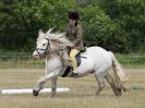 Image 81 in ADVENTURE RC. DRESSAGE AND GYMKHANA. 9 JULY 2017