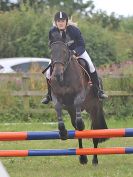 Image 197 in BECCLES AND BUNGAY RC. FUN DAY. 23 JULY 2017. SHOW JUMPING AND SOME GYMKHANA AT THE END.