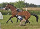 Image 209 in BECCLES AND BUNGAY RC. FUN DAY. 23 JULY 2017. SHOW JUMPING AND SOME GYMKHANA AT THE END.