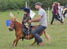 Image 232 in BECCLES AND BUNGAY RC. FUN DAY. 23 JULY 2017. SHOW JUMPING AND SOME GYMKHANA AT THE END.