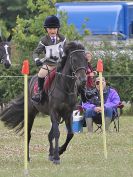 Image 236 in BECCLES AND BUNGAY RC. FUN DAY. 23 JULY 2017. SHOW JUMPING AND SOME GYMKHANA AT THE END.