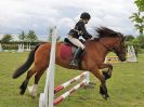 Image 48 in BECCLES AND BUNGAY RC. FUN DAY. 23 JULY 2017. SHOW JUMPING AND SOME GYMKHANA AT THE END.