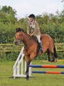 Image 70 in BECCLES AND BUNGAY RC. FUN DAY. 23 JULY 2017. SHOW JUMPING AND SOME GYMKHANA AT THE END.