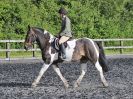 Image 13 in BBRC. EVENING DRESSAGE. 27 JULY 2017