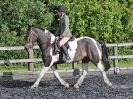 Image 16 in BBRC. EVENING DRESSAGE. 27 JULY 2017