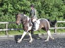 Image 20 in BBRC. EVENING DRESSAGE. 27 JULY 2017