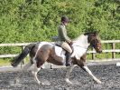 Image 21 in BBRC. EVENING DRESSAGE. 27 JULY 2017