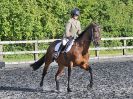 Image 24 in BBRC. EVENING DRESSAGE. 27 JULY 2017