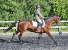 Image 27 in BBRC. EVENING DRESSAGE. 27 JULY 2017