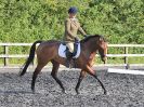 Image 28 in BBRC. EVENING DRESSAGE. 27 JULY 2017