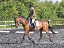 Image 29 in BBRC. EVENING DRESSAGE. 27 JULY 2017