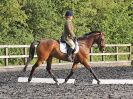 Image 32 in BBRC. EVENING DRESSAGE. 27 JULY 2017