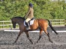 Image 33 in BBRC. EVENING DRESSAGE. 27 JULY 2017