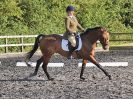 Image 39 in BBRC. EVENING DRESSAGE. 27 JULY 2017