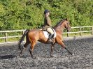 Image 41 in BBRC. EVENING DRESSAGE. 27 JULY 2017