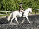 Image 50 in BBRC. EVENING DRESSAGE. 27 JULY 2017