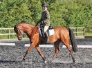 Image 51 in BBRC. EVENING DRESSAGE. 27 JULY 2017