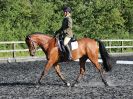 Image 52 in BBRC. EVENING DRESSAGE. 27 JULY 2017