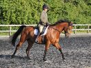 Image 53 in BBRC. EVENING DRESSAGE. 27 JULY 2017