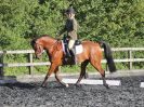 Image 55 in BBRC. EVENING DRESSAGE. 27 JULY 2017