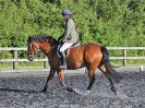 Image 57 in BBRC. EVENING DRESSAGE. 27 JULY 2017