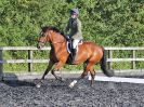 Image 60 in BBRC. EVENING DRESSAGE. 27 JULY 2017