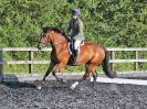 Image 60 in BBRC. EVENING DRESSAGE. 27 JULY 2017