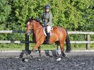 Image 61 in BBRC. EVENING DRESSAGE. 27 JULY 2017