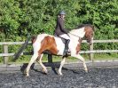 Image 65 in BBRC. EVENING DRESSAGE. 27 JULY 2017