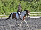 Image 68 in BBRC. EVENING DRESSAGE. 27 JULY 2017