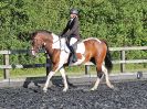 Image 72 in BBRC. EVENING DRESSAGE. 27 JULY 2017