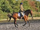 Image 80 in BBRC. EVENING DRESSAGE. 27 JULY 2017