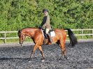 Image 84 in BBRC. EVENING DRESSAGE. 27 JULY 2017