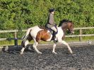 Image 85 in BBRC. EVENING DRESSAGE. 27 JULY 2017