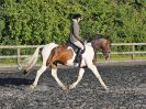 Image 89 in BBRC. EVENING DRESSAGE. 27 JULY 2017