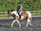 Image 98 in BBRC. EVENING DRESSAGE. 27 JULY 2017