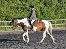 Image 99 in BBRC. EVENING DRESSAGE. 27 JULY 2017