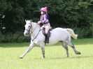 Image 101 in BECCLES AND BUNGAY RC. HUNTER TRIAL. 6 AUG. 2017