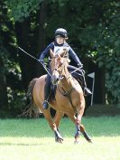 Image 117 in BECCLES AND BUNGAY RC. HUNTER TRIAL. 6 AUG. 2017