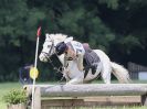 Image 122 in BECCLES AND BUNGAY RC. HUNTER TRIAL. 6 AUG. 2017