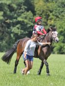 Image 164 in BECCLES AND BUNGAY RC. HUNTER TRIAL. 6 AUG. 2017